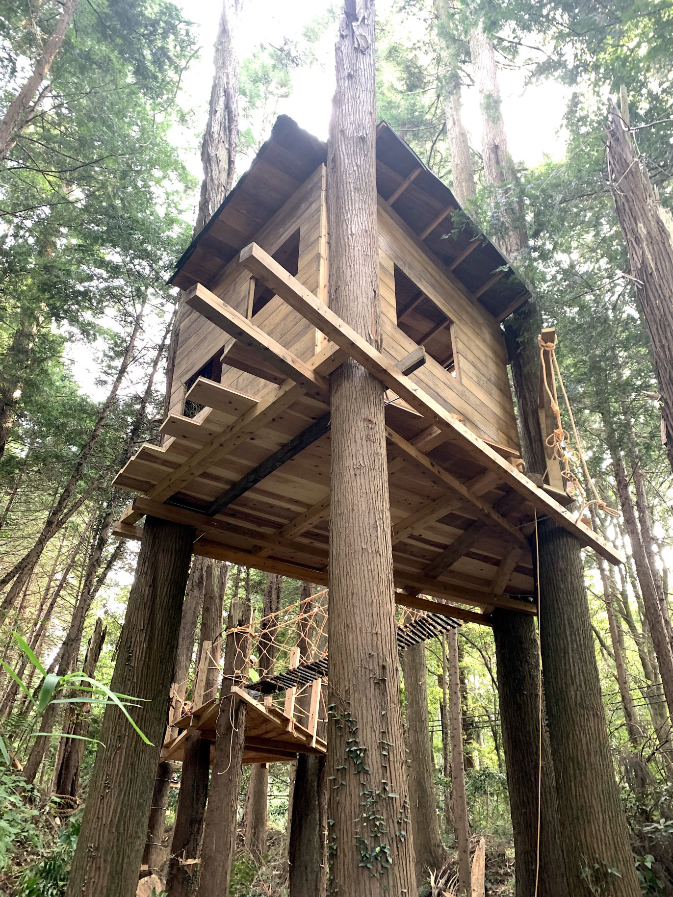 Simple Bootstrap Theme 